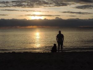 c868117a0d03477fa1f18a45761943b9